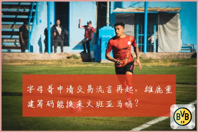 字母哥申请交易流言再起,雄鹿重建筹码能换来文班亚马吗?