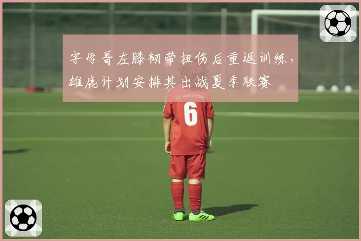 字母哥左膝韧带扭伤后重返训练，雄鹿计划安排其出战夏季联赛